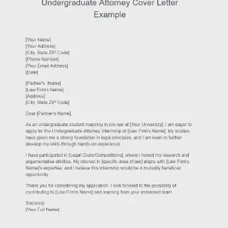/img/42952-lawyer-example-litigation.webp