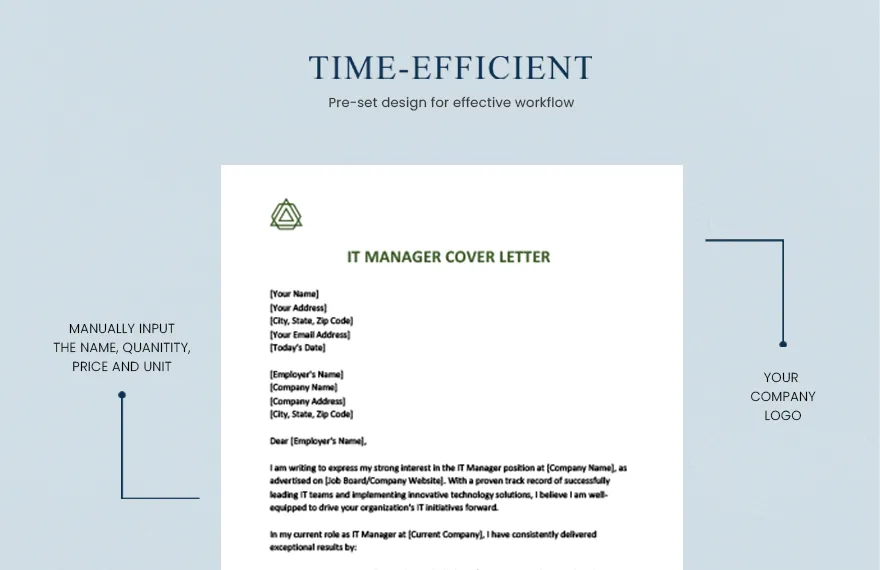 43161 it manager template